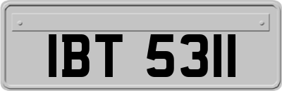 IBT5311