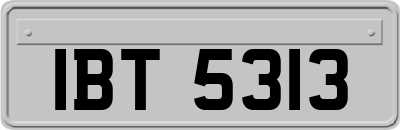 IBT5313