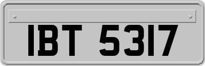 IBT5317