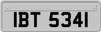 IBT5341
