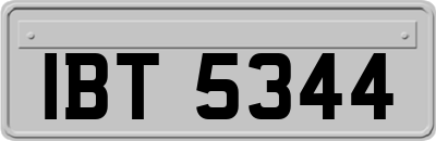 IBT5344
