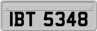 IBT5348