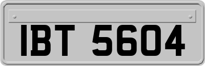 IBT5604