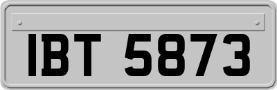 IBT5873