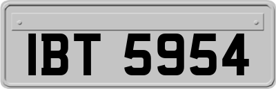 IBT5954