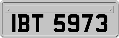 IBT5973
