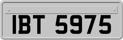 IBT5975