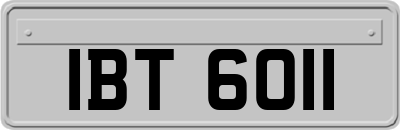 IBT6011