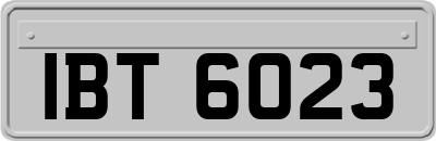 IBT6023