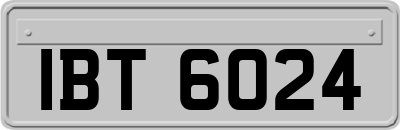IBT6024