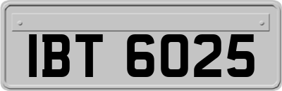 IBT6025