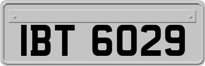 IBT6029