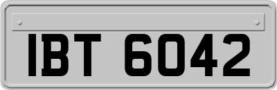 IBT6042