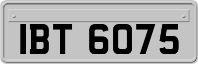 IBT6075