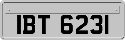 IBT6231