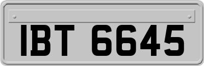 IBT6645