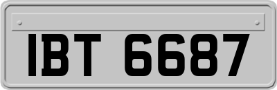 IBT6687