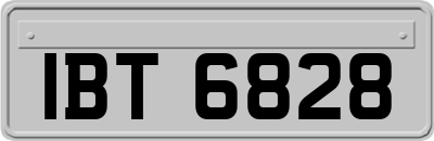 IBT6828