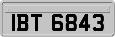 IBT6843