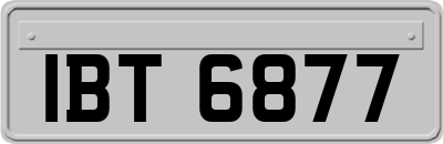 IBT6877