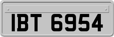 IBT6954