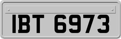 IBT6973
