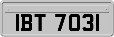 IBT7031