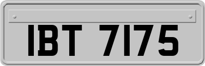 IBT7175