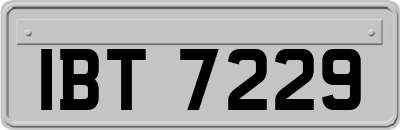 IBT7229