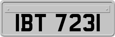 IBT7231