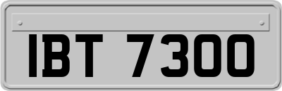 IBT7300