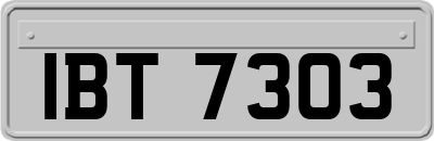 IBT7303