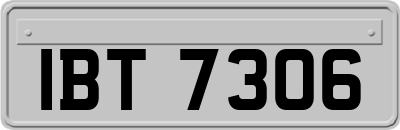 IBT7306