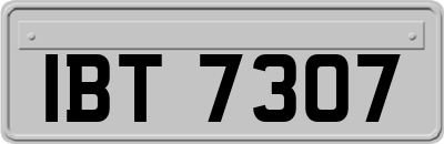 IBT7307