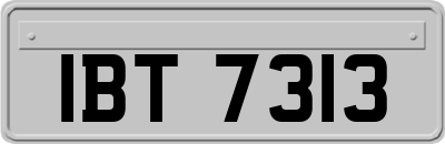 IBT7313