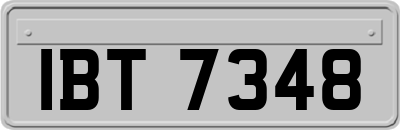 IBT7348