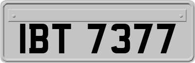 IBT7377