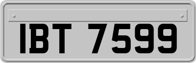 IBT7599