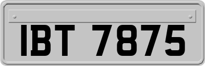 IBT7875