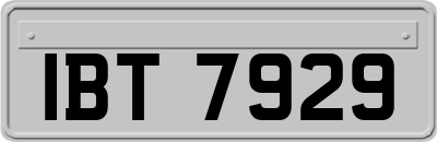 IBT7929