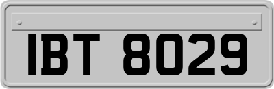 IBT8029