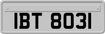 IBT8031