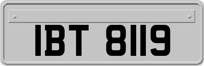 IBT8119