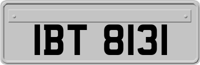 IBT8131