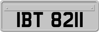 IBT8211