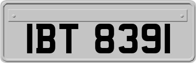 IBT8391