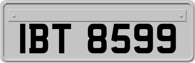 IBT8599