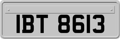 IBT8613