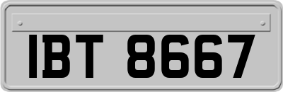 IBT8667
