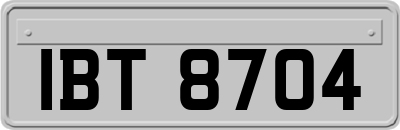 IBT8704